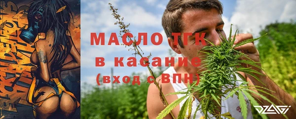 прущие грибы Кострома